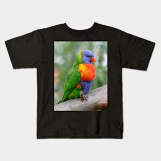 Young Rainbow Kids T-Shirt